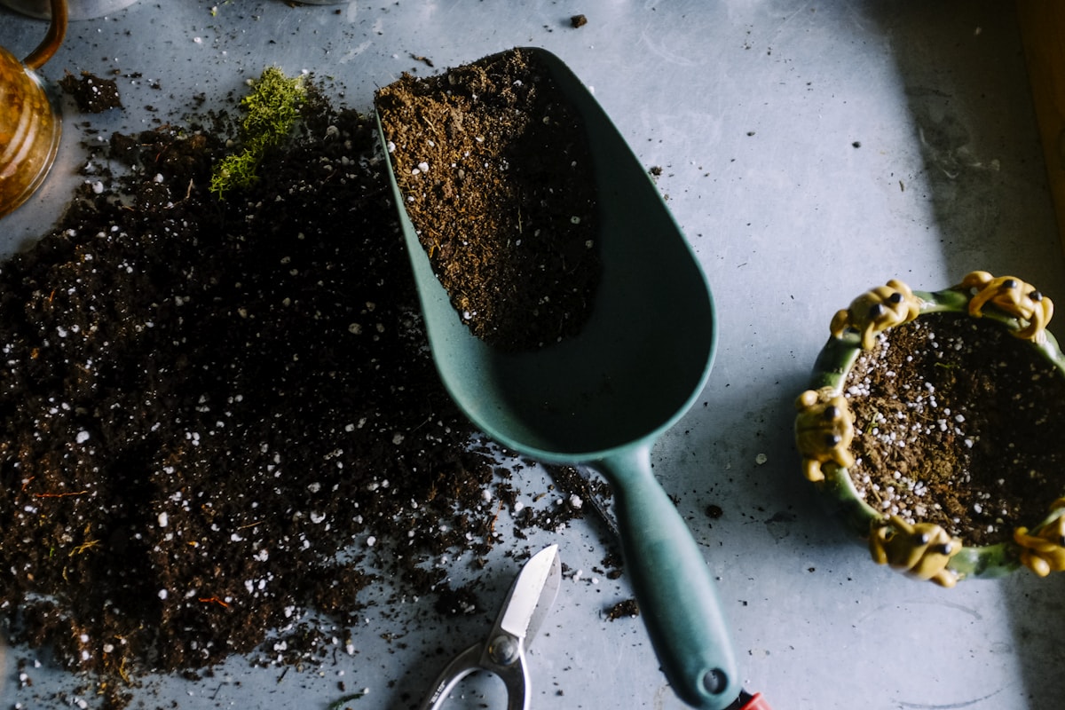 Garden Maintenance