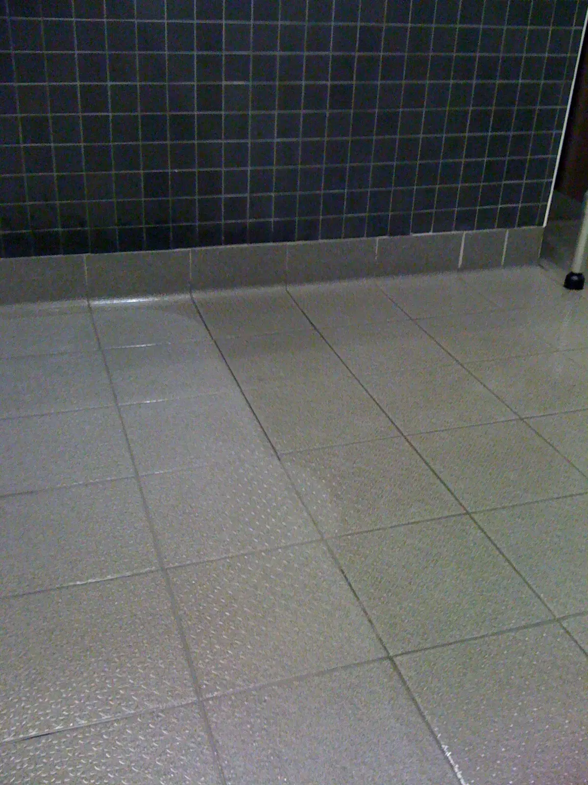 Tile and Grout Deep Cleaning — Finished Result